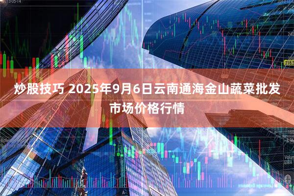 炒股技巧 2025年9月6日云南通海金山蔬菜批发市场价格行情