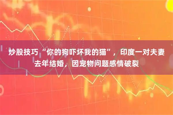 炒股技巧 “你的狗吓坏我的猫”，印度一对夫妻去年结婚，因宠物问题感情破裂